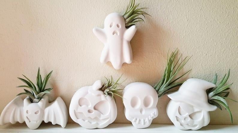 Spooky Air Plant Holder