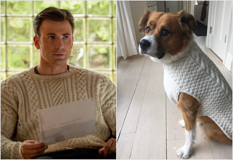 Chris Evans Gave His Dog a Matching Knives Out Sweater | POPSUGAR  Entertainment
