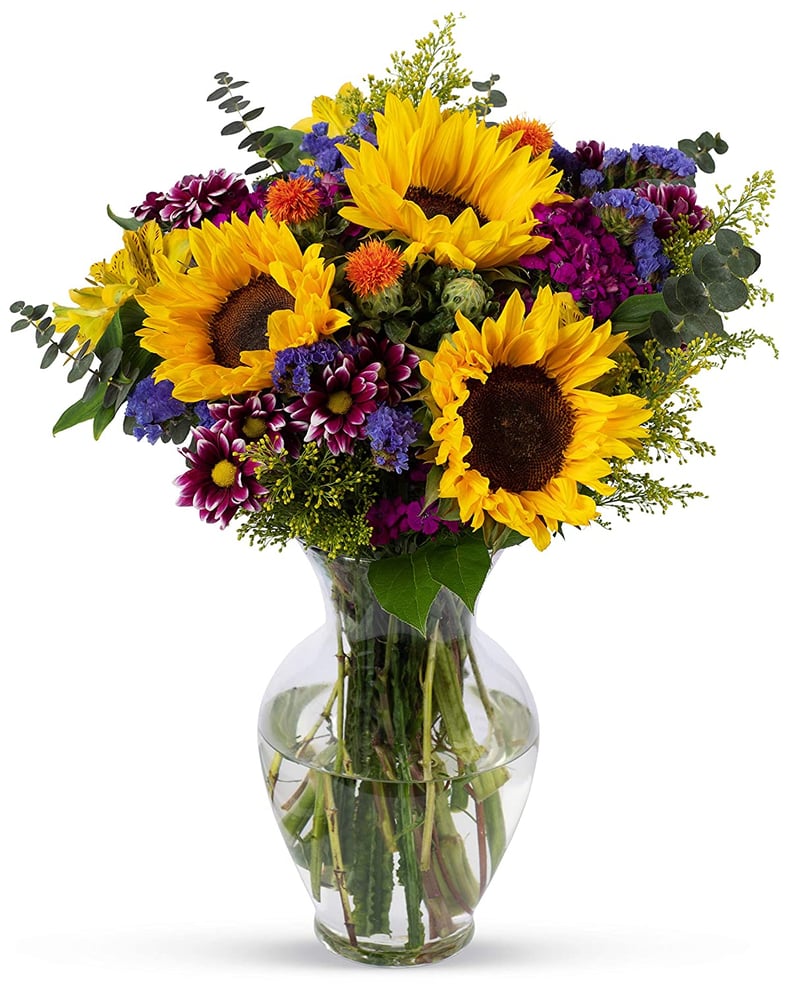 A Colorful Arrangement: Benchmark Bouquets Flowering Fields