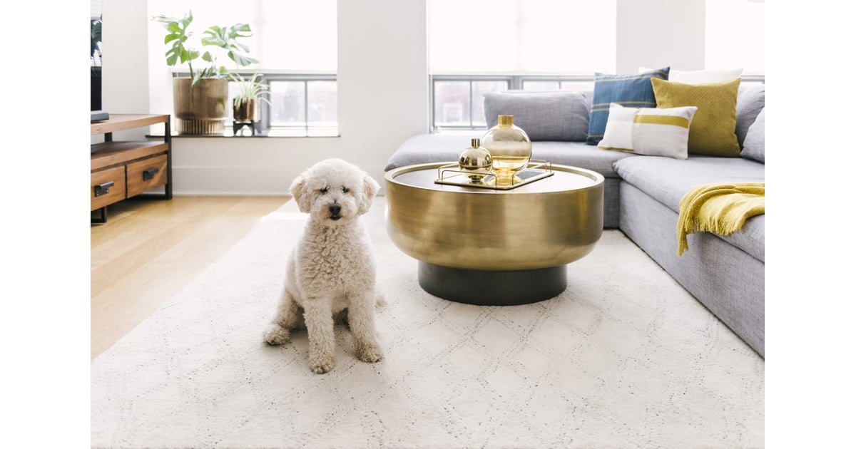 Dog Zoom Background | Download Free Zoom Backgrounds | POPSUGAR Tech