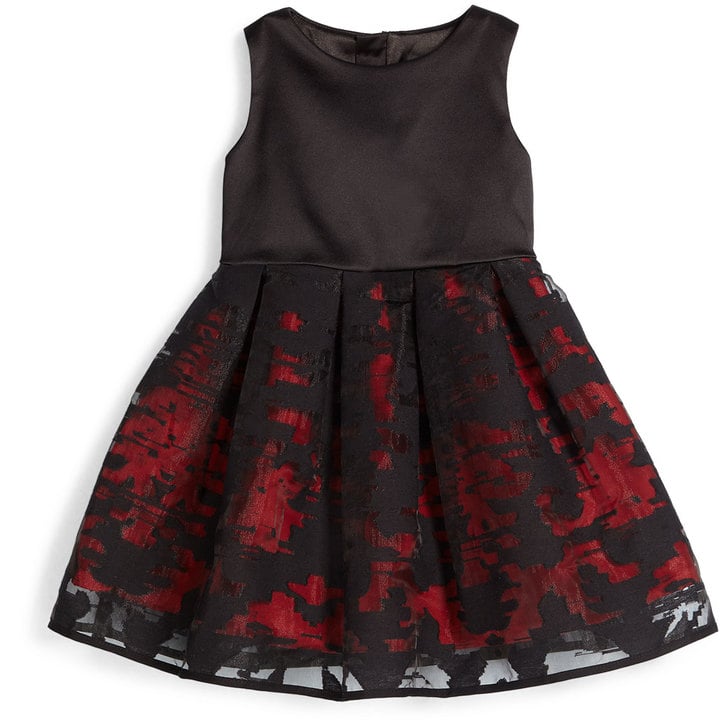 Sleeveless Pleated Organza Dress