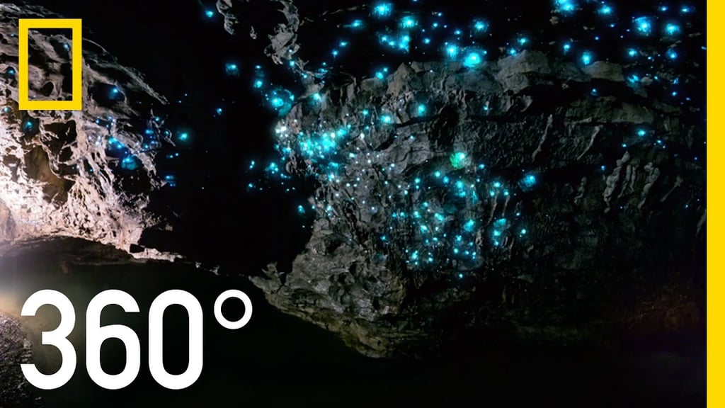 Glow Worm Caves of New Zealand in 360° | National Geographic