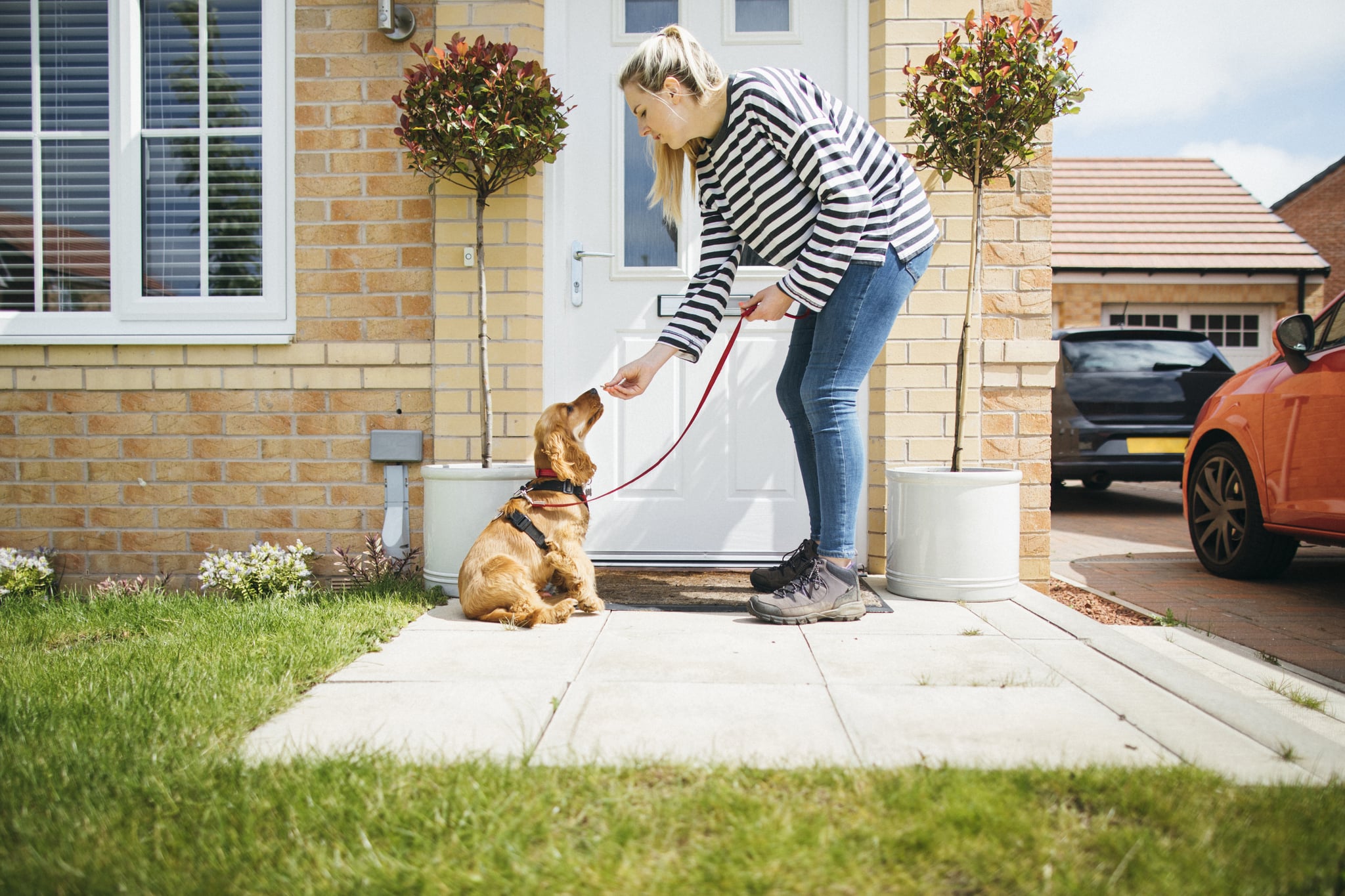 Keeping puppy on sales leash in house