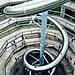 Treetop Slide in Germany | Baumwipfelpfad Schwarzwald