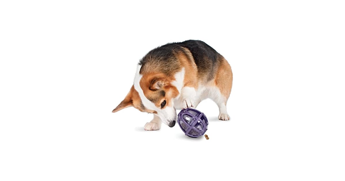 kibble nibble dog toy