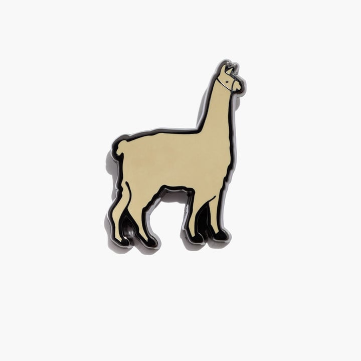 Madewell Pintrill Emoji Pin ($12)