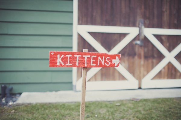 Kitten Sign