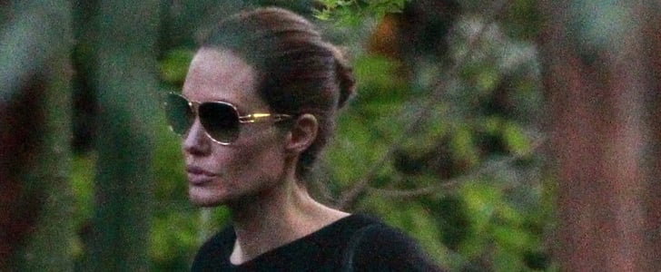 Brad Pitt and Angelina Jolie's Weekend Getaway | Pictures