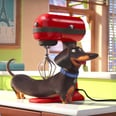 If You've Ever Wondered What Your Pets Do When You Leave, This Movie Is For You