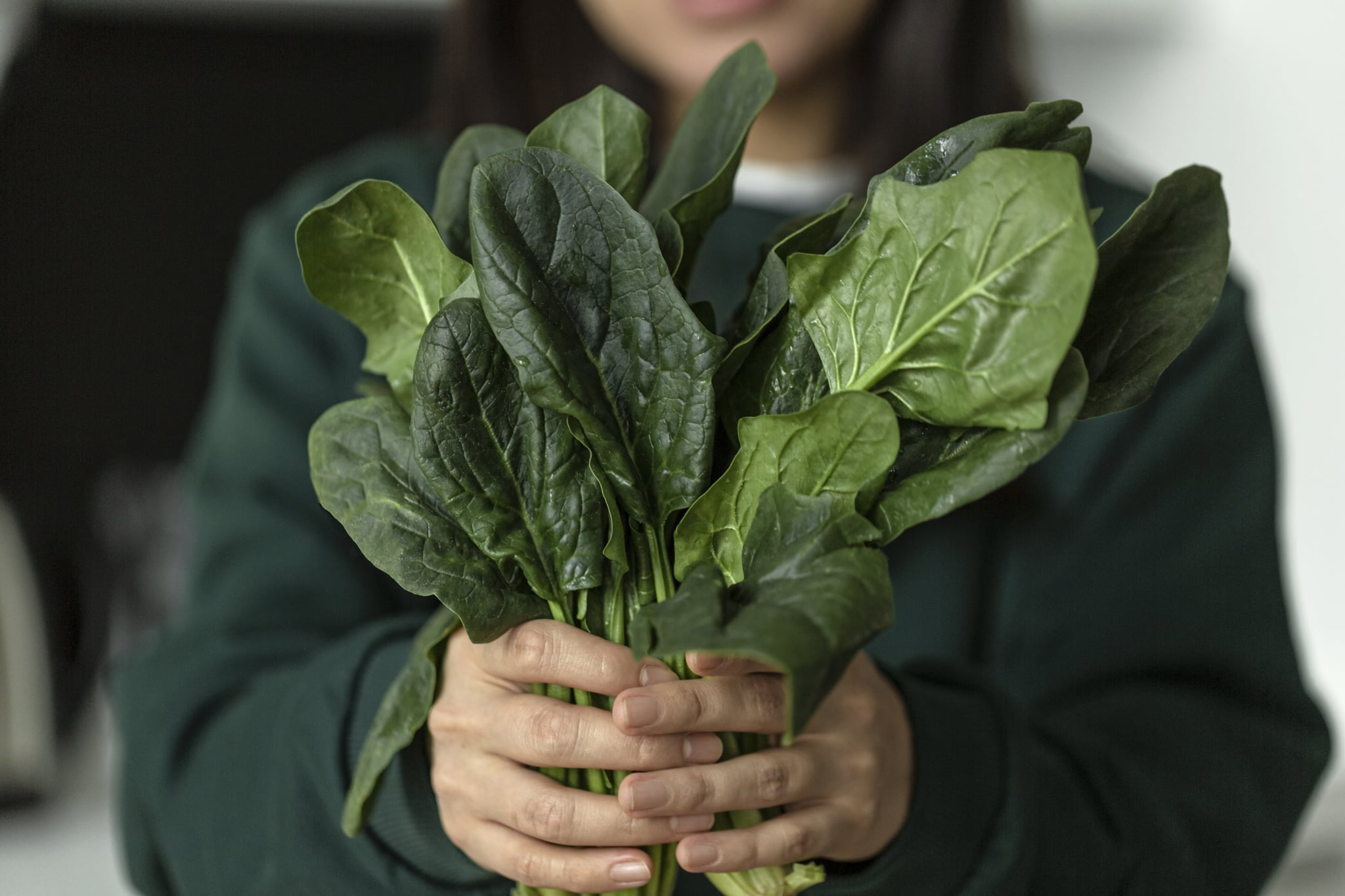 Young woman holding spinach leafs salad.