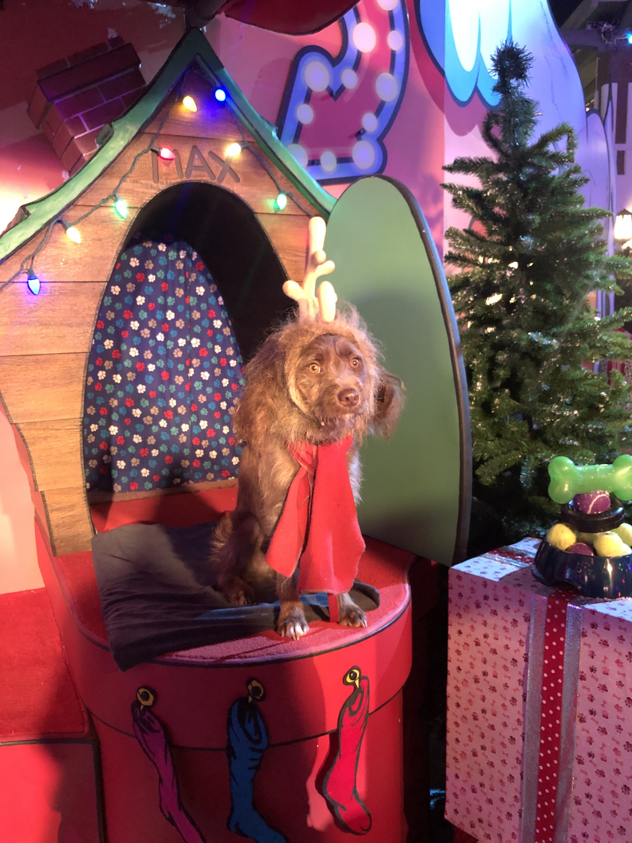 Universal Studios Hollywood Celebrate Christmas 2022 Universal Studios Hollywood Holiday | Popsugar Entertainment