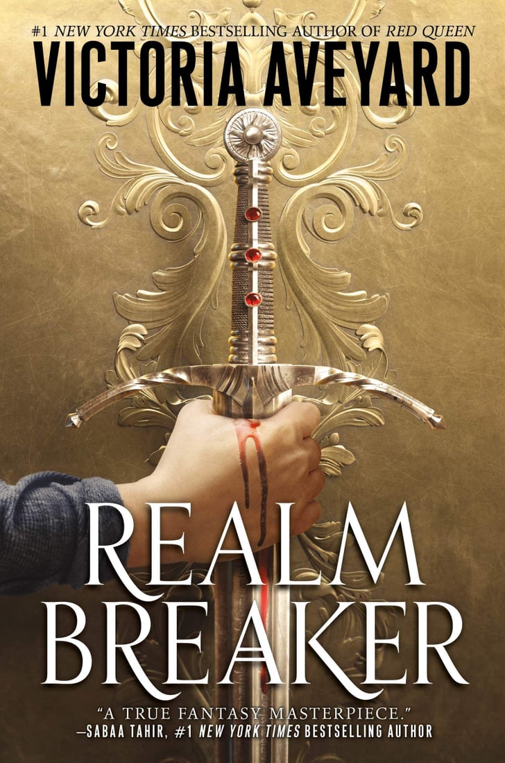 realm breaker book