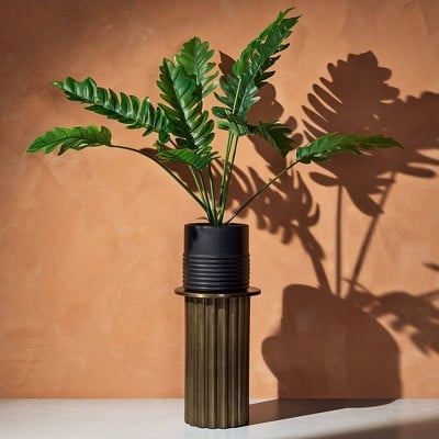 Hilton Carter for Target Alocasia Portora Plant in Ribbed Pot