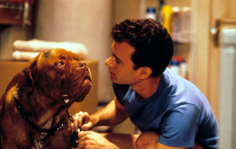 Turner & Hooch