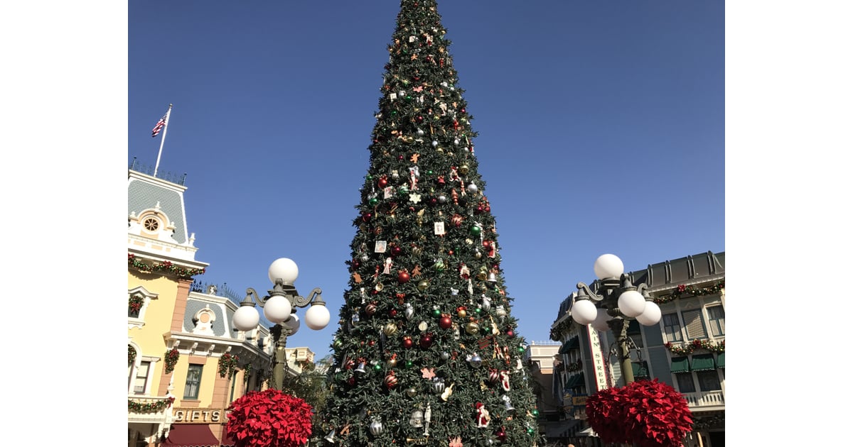 The Christmas Tree in the Town Square Towers at 60 Feet Tall