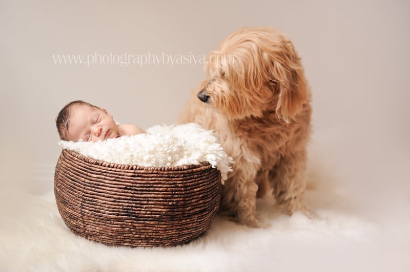 Adorable Newborn and Pet Photos