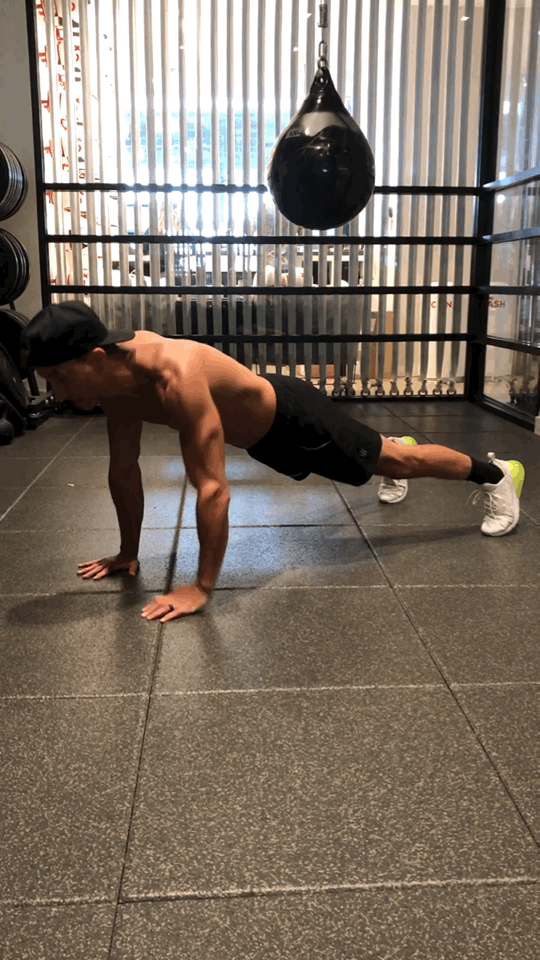 Plank Punches: 30 Seconds