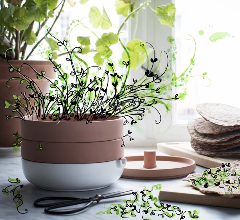 Two-tier sprouter ($20)