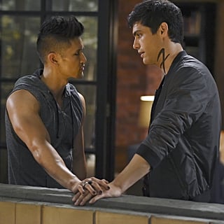 Alec and Magnus, Shadowhunters