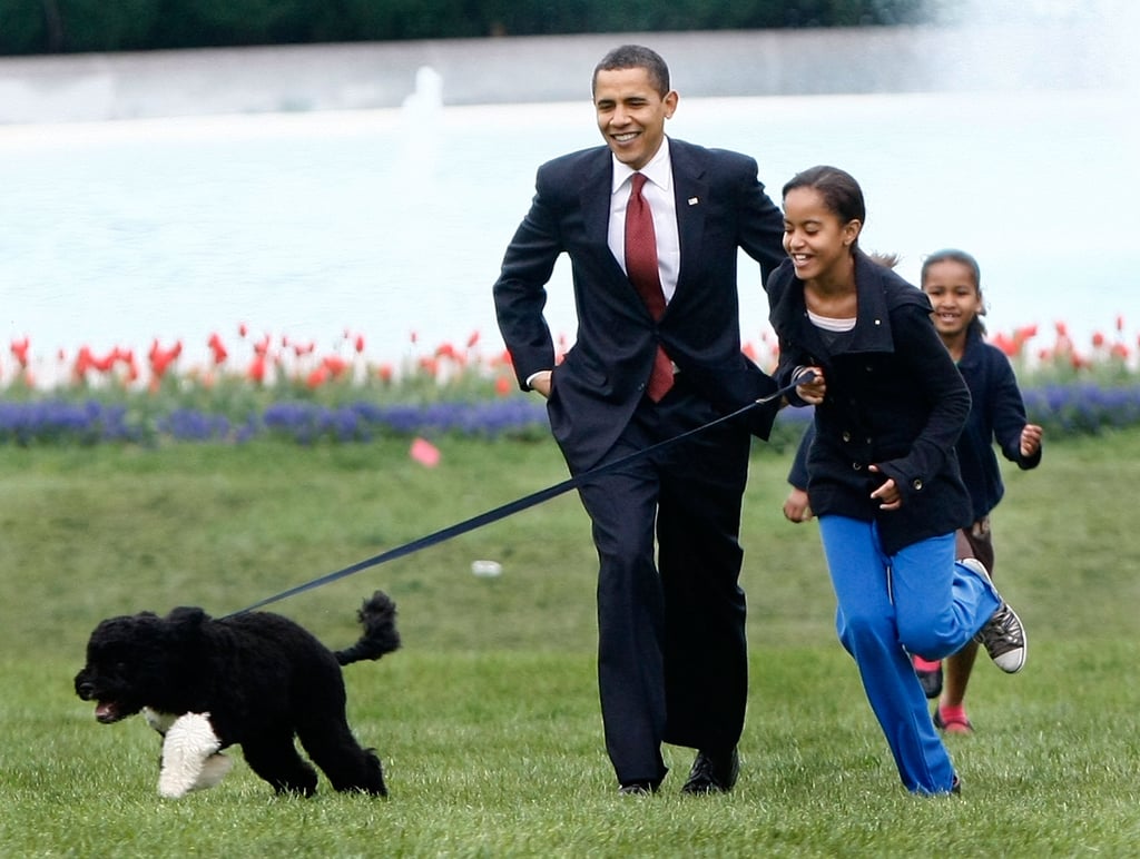 Six-month-old Bo took Malia, Barack, and Sasha for a jog around the South Lawn of the White House in 2009.