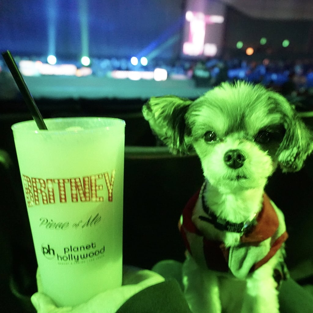 It wouldn't be a trip to Las Vegas without experiencing the princess of pop live in action!