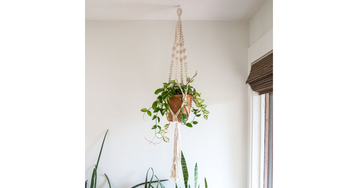 Hoya Joanna Gaines's Favorite Plants POPSUGAR Home Photo 2
