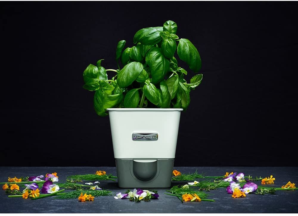 Cole & Mason Self-Watering Potted Herb Keeper