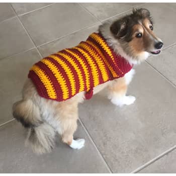Gryffindor dog sweater sales