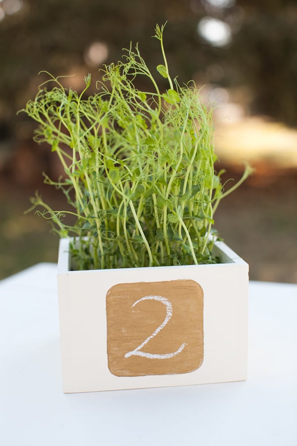 Chalkboard Table Numbers