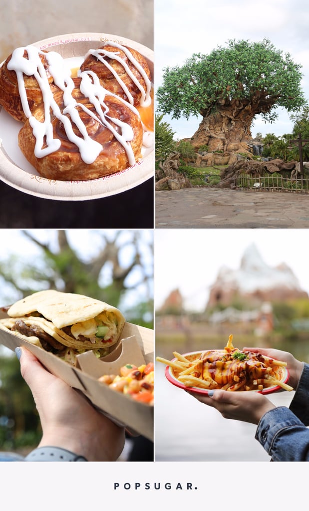 Best Foods at Animal Kingdom in Disney World POPSUGAR Food