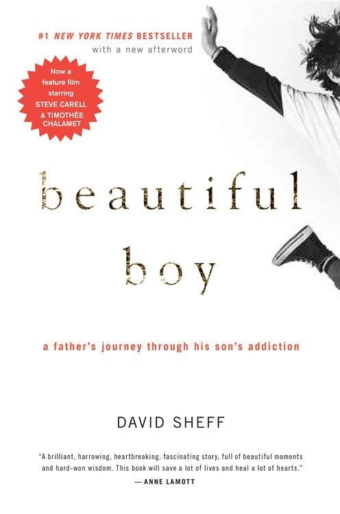 Beautiful Boy by David Sheff