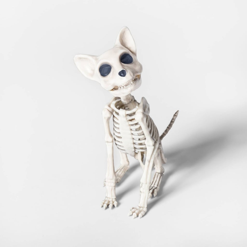 Sitting Kitten Skeleton Decorative Halloween Prop at Target