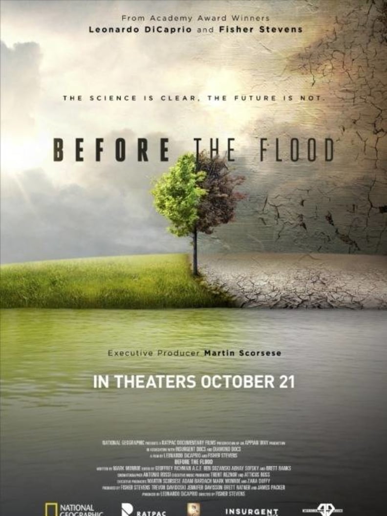 Before the Flood