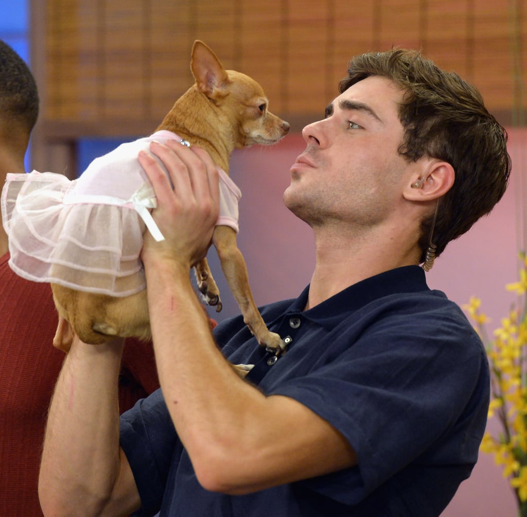 The Luckiest Dog in the World Getting Kisses From Zac Efron