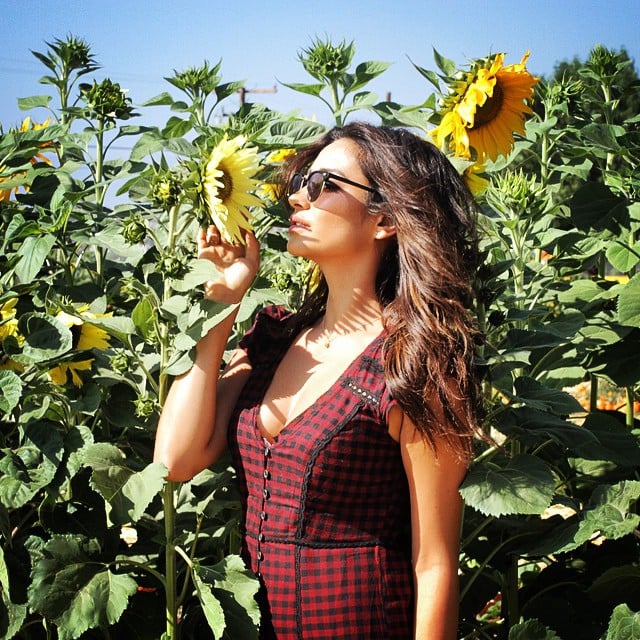 Shay Mitchell picked pumpkins and smelled flowers while out and about on Monday. 
Source: Instagram user shaym