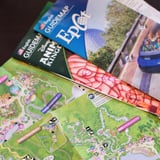 This Disney World Parks Yes,