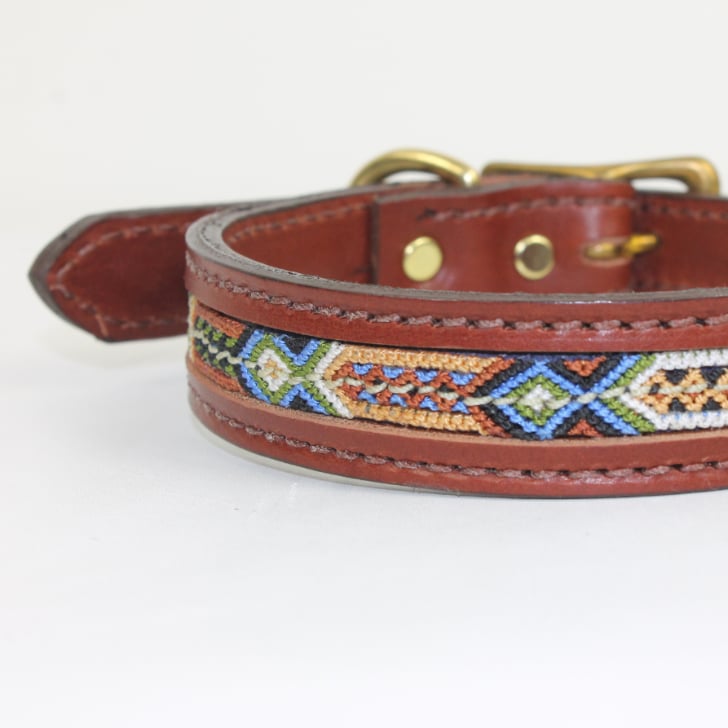 gypsy dog collar