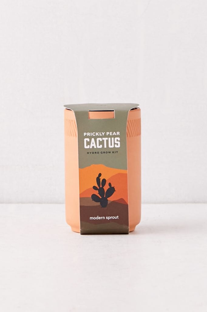 Modern Sprout Cactus Terracotta Grow Kit