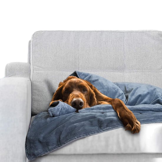 Best Weighted Blanket For Pets