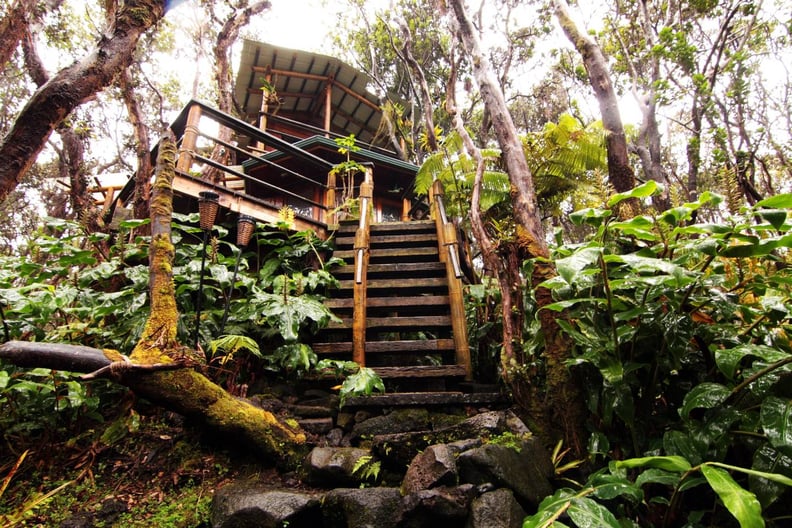 Treehouse at Kilauea Volcano, Hawaii