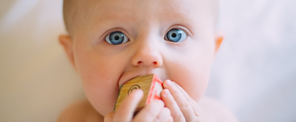 Nippii Freezable Pacifier