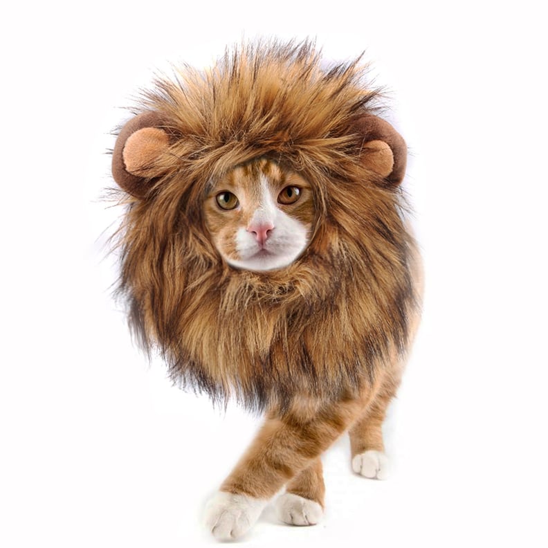 Lion Mane Wig For Cats