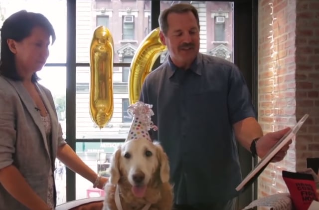 Birthday Party For Sept. 11 Rescue Dog | POPSUGAR Pets