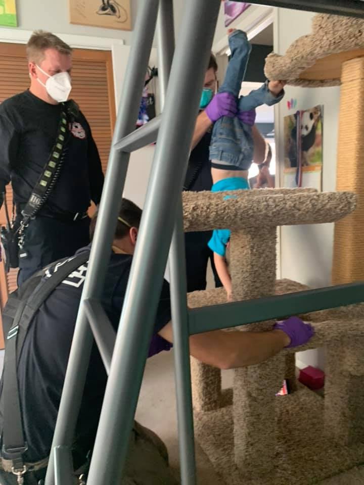 Boy Who Got His Head Stuck in a Cat Tree Funny Photos POPSUGAR UK