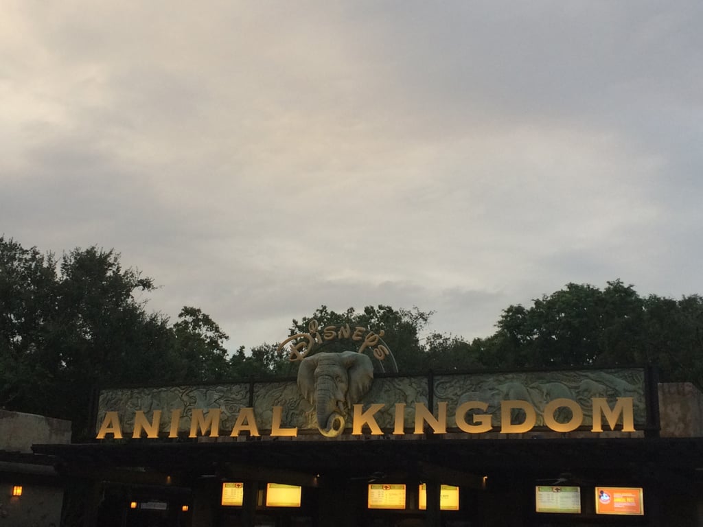 Disney's Animal Kingdom Was Meant to Have a Mythical Creature Area