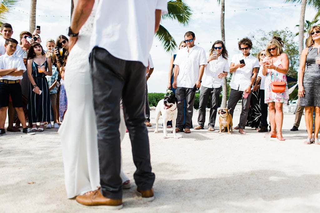 Spring Wedding in Florida Keys
