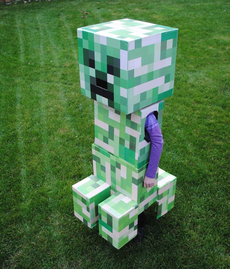 Minecraft Costume : 6 Steps (with Pictures) - Instructables