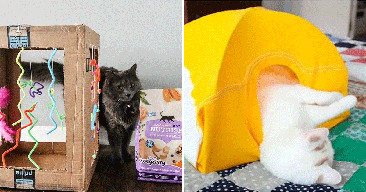 Fun and Easy DIY Cat Toys to Keep Cats Busy POPSUGAR Pets