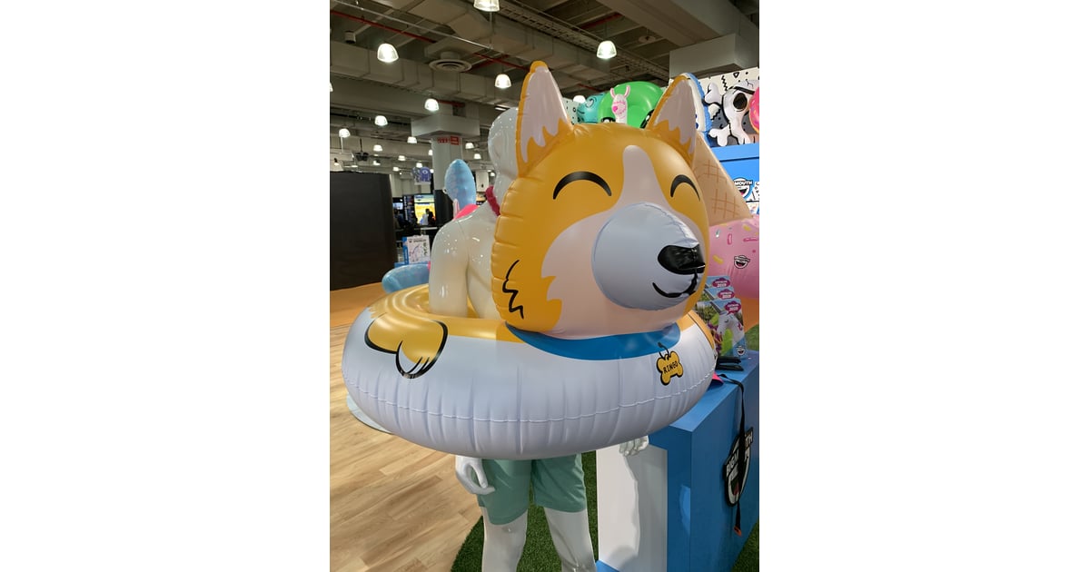 corgi pool floats
