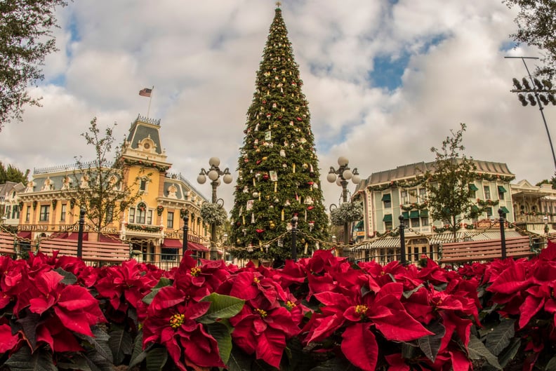 Disneyland: In Front of the Christmas Tree on Main Street, U.S.A